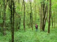 Tourists in Villeconin forest near Paris